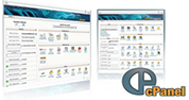 Web Hosting
