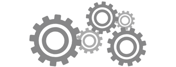 Website Management